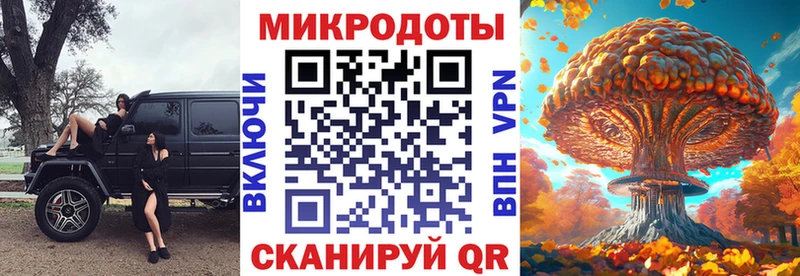 Галлюциногенные грибы Cubensis сайты даркнета как зайти Магадан kraken ONION