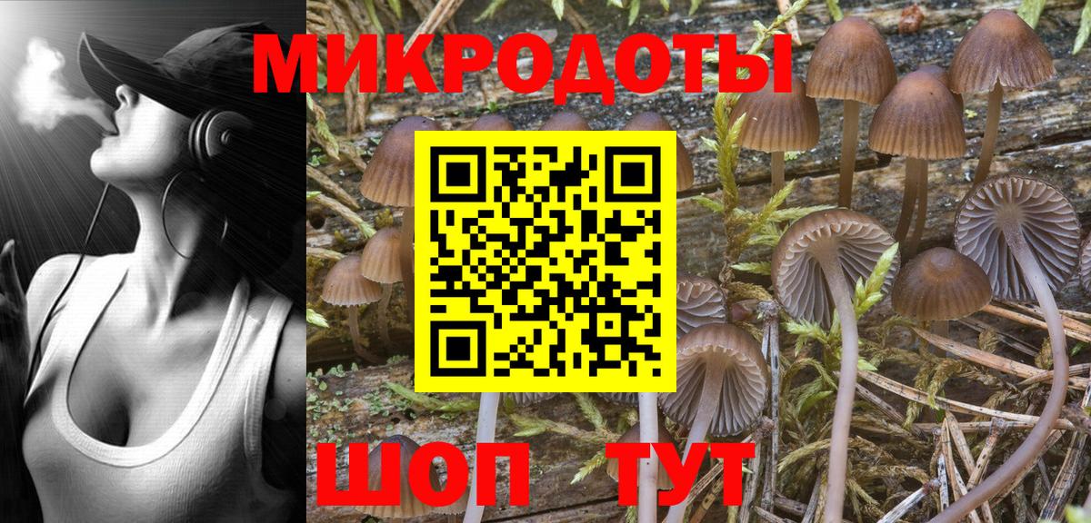 Галлюциногенные грибы ЛСД  Вход с VPN  Галлюциногенные грибы Magic Shrooms  продажа наркотиков  Магадан 